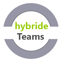 Teamlabor hybride Teams MTO-Consulting